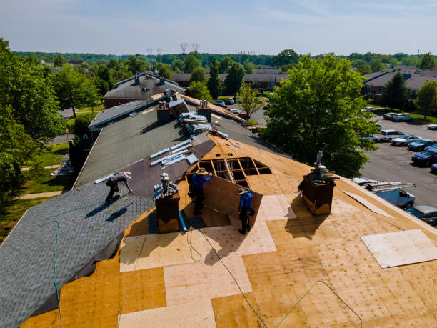 Quick and Trustworthy Emergency Roof Repair Services in Sandusky, OH